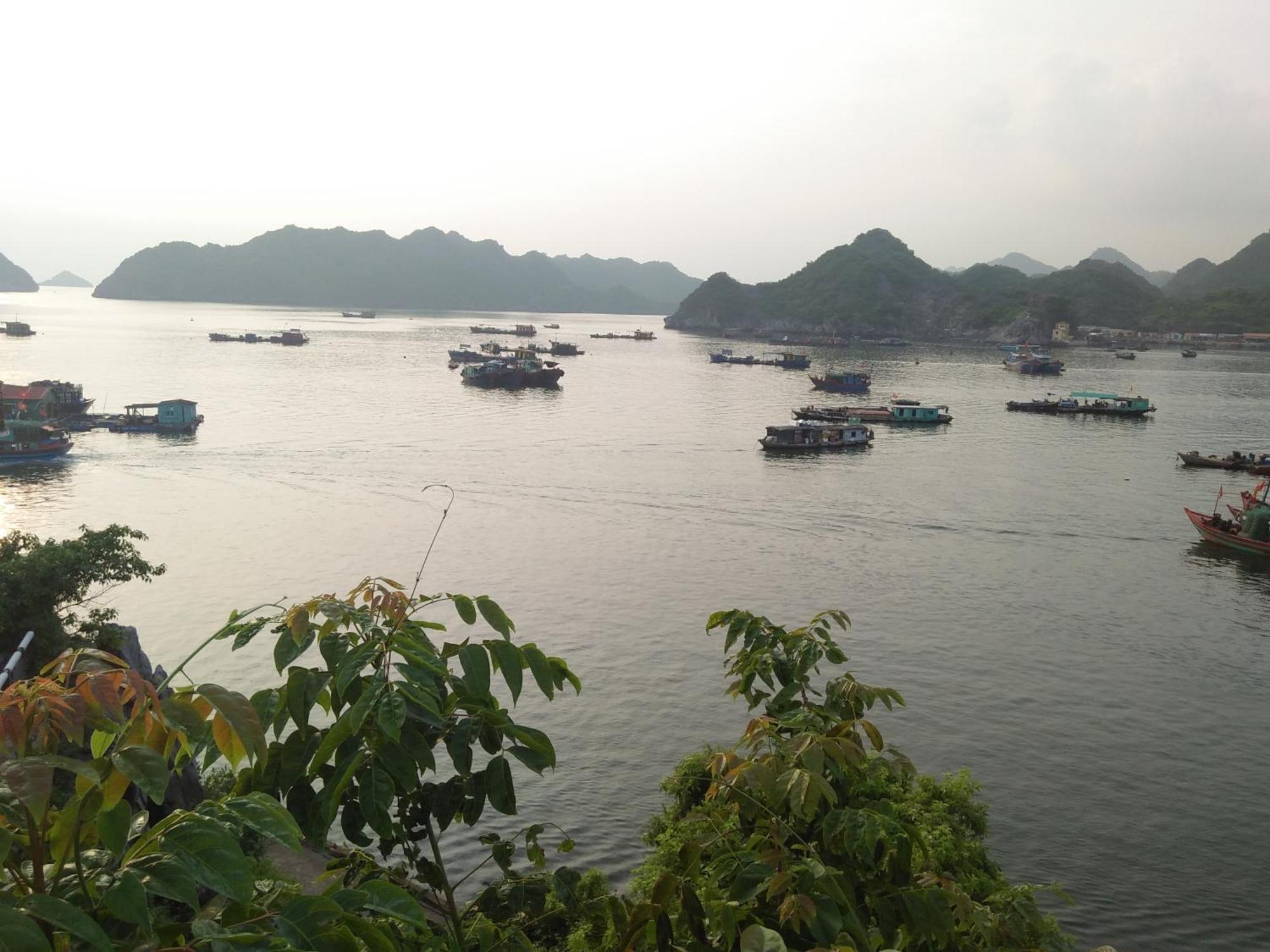 Cat Ba Victory Hostel Dong Khe Sau Bagian luar foto